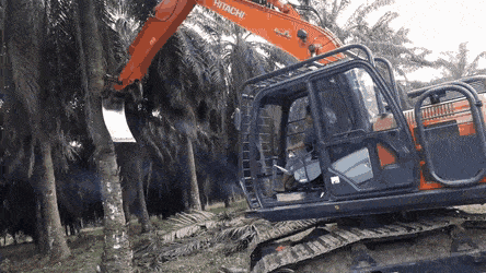Acid Gifdump, January 16 (25 gifs)