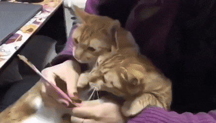 Acid Gifdump, January 16 (25 gifs)