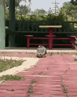 Acid Gifdump, January 16 (25 gifs)