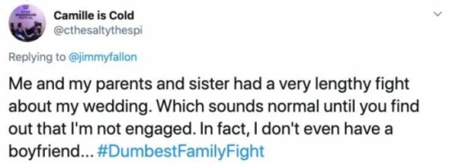 Stupid Family Fights (25 pics)