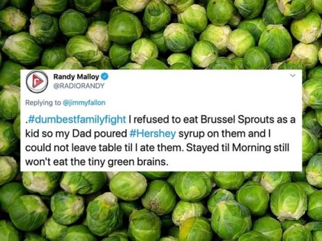 Stupid Family Fights (25 pics)