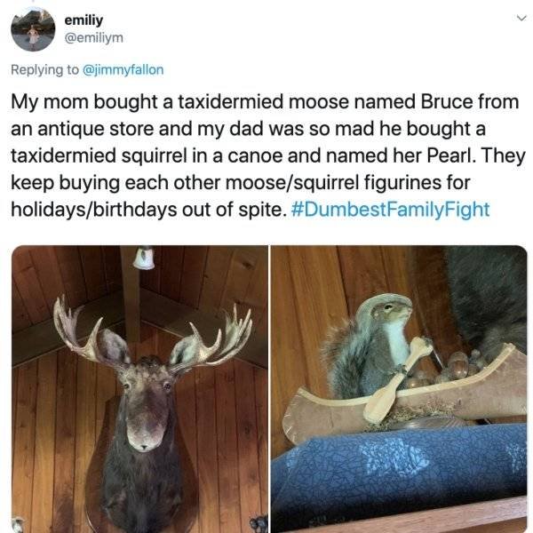 Stupid Family Fights (25 pics)