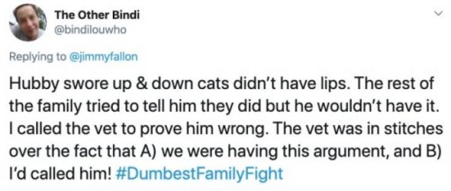 Stupid Family Fights (25 pics)