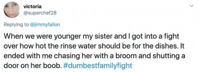 Stupid Family Fights (25 pics)