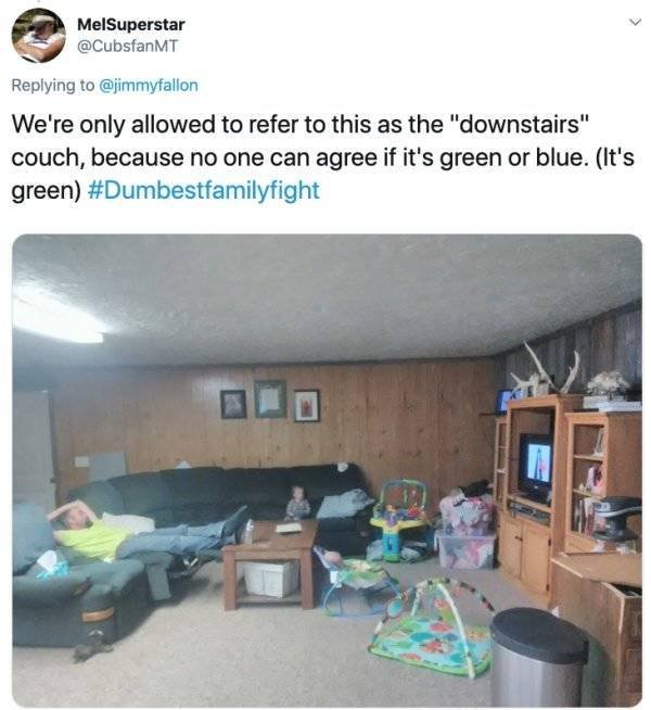 Stupid Family Fights (25 pics)
