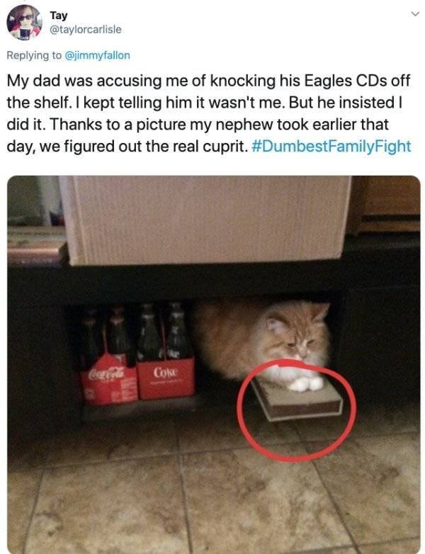 Stupid Family Fights (25 pics)