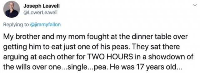 Stupid Family Fights (25 pics)