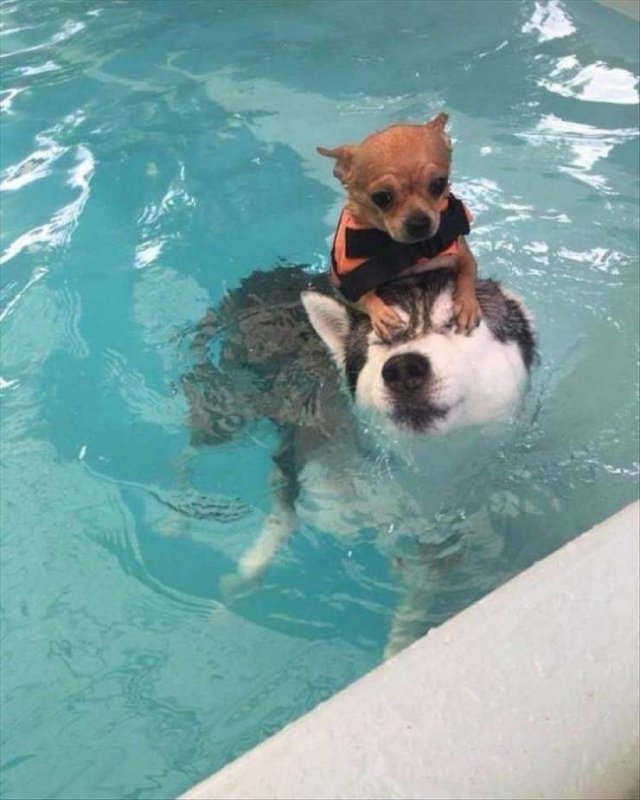 Acid Picdump. Part 1 (100 pics)