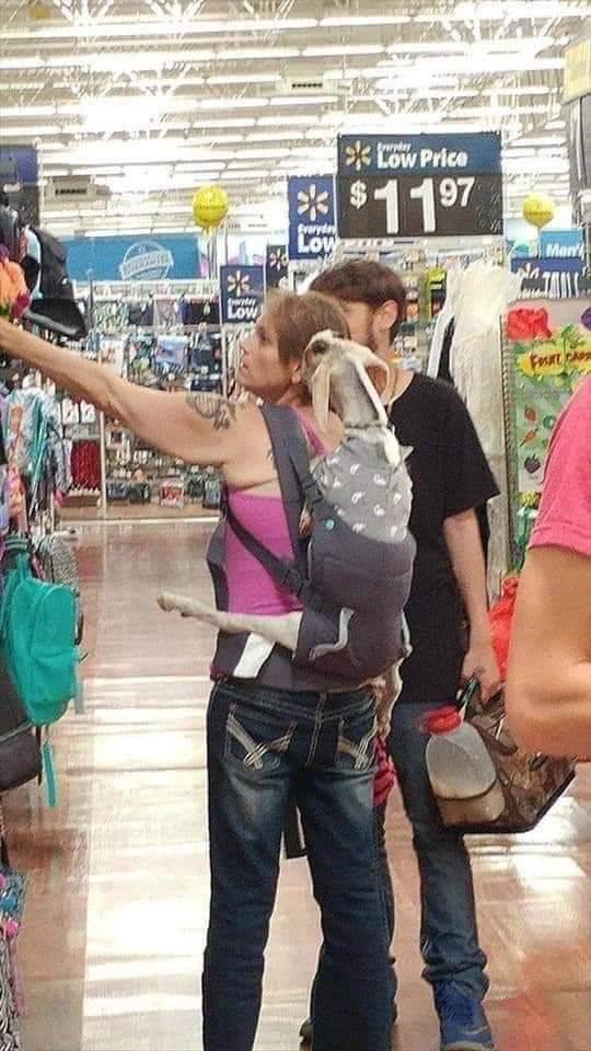 Acid Picdump. Part 1 (100 pics)