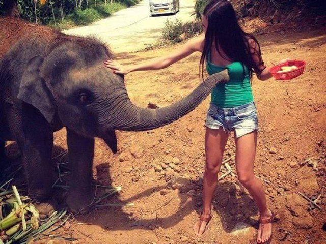 Acid Picdump. Part 1 (100 pics)