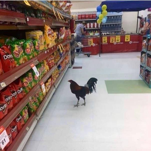 Acid Picdump. Part 2 (100 pics)
