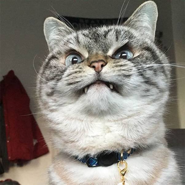 Acid Picdump. Part 1 (100 pics)