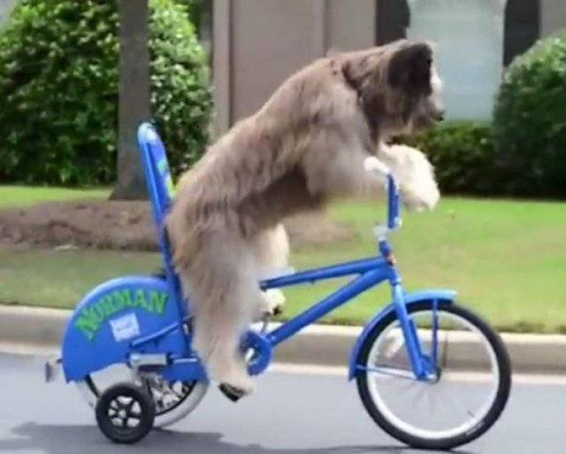 Acid Picdump. Part 2 (96 pics)