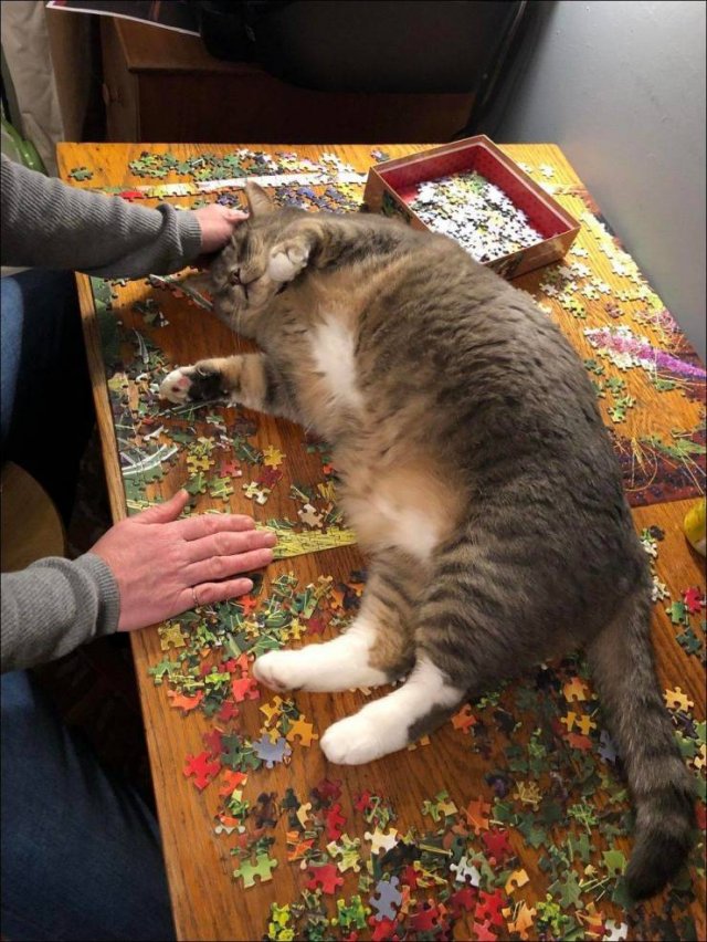 Acid Picdump. Part 1 (100 pics)