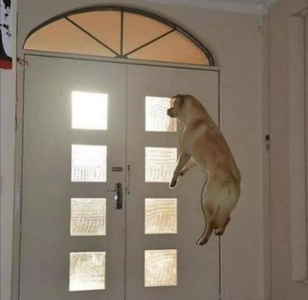 Acid Picdump. Part 1 (100 pics)