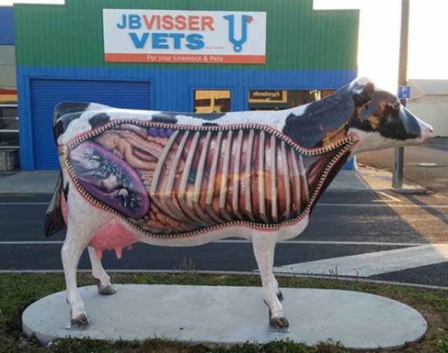 Acid Picdump. Part 2 (96 pics)