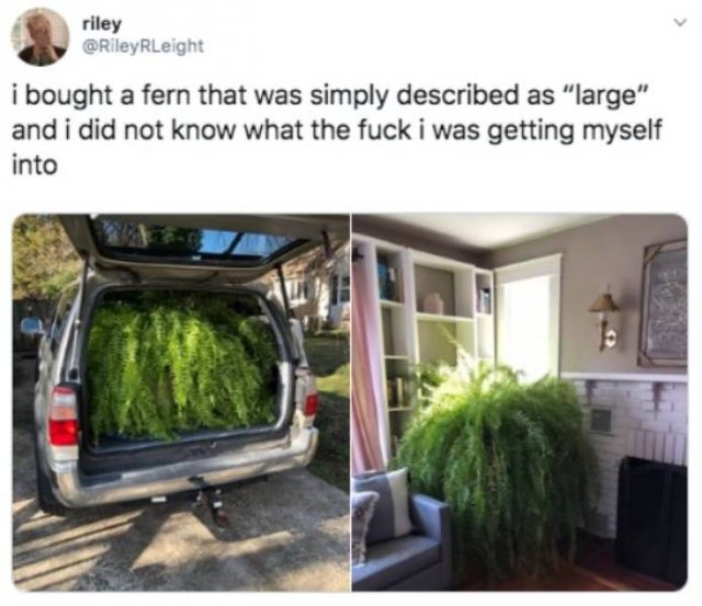 Funny Tweets (53 pics)
