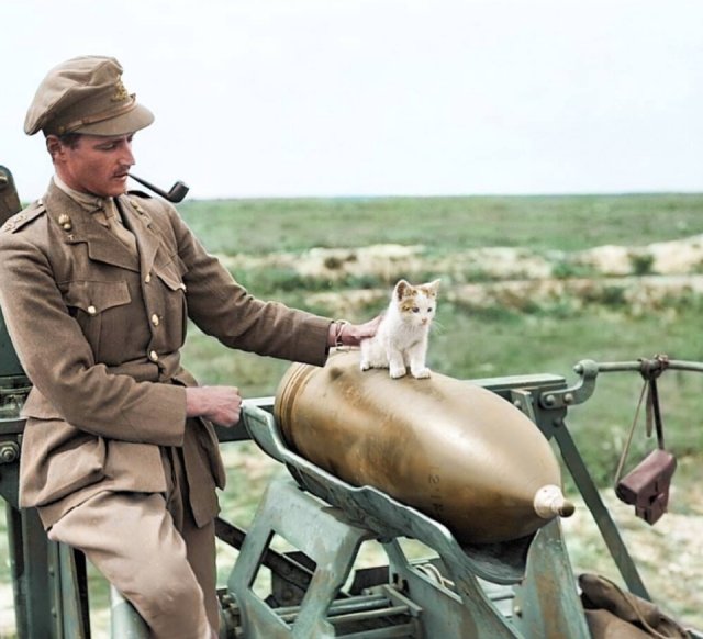 WW1 Colorized Photos (90 pics)