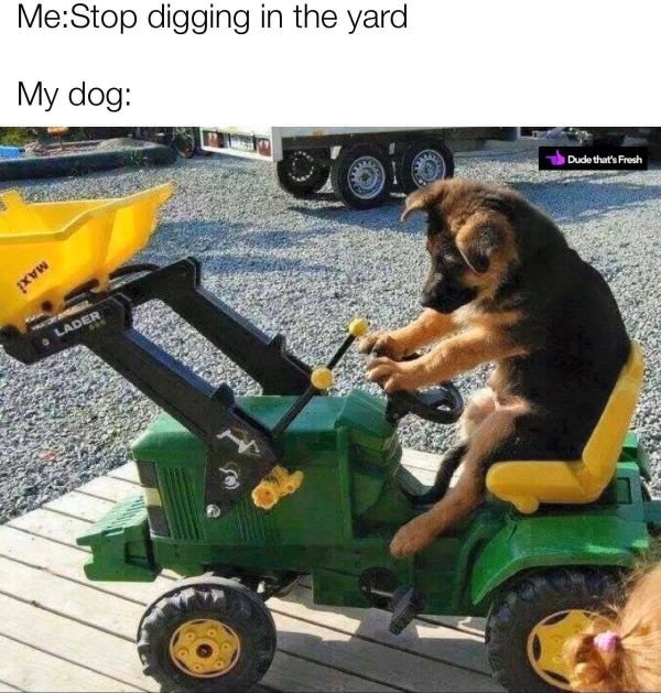Random Funny Memes (26 pics)