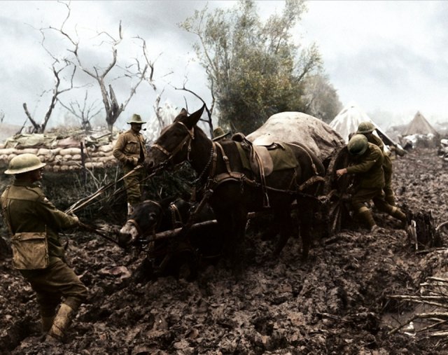 WW1 Colorized Photos (90 pics)