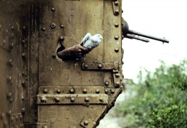 WW1 Colorized Photos (90 pics)