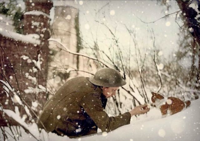 WW1 Colorized Photos (90 pics)