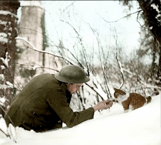 WW1 Colorized Photos (90 pics)