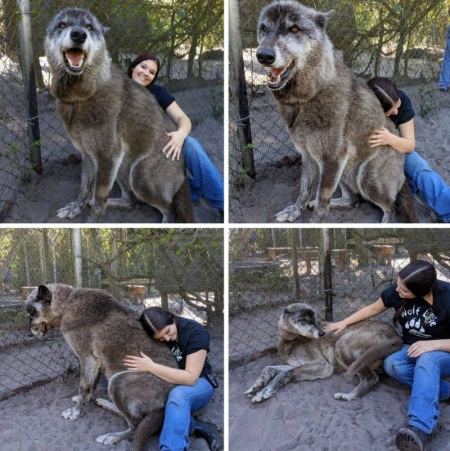 Acid Picdump. Part 1 (95 pics)