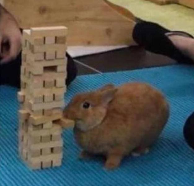 Acid Picdump. Part 1 (95 pics)