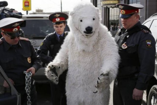 Acid Picdump. Part 1 (95 pics)