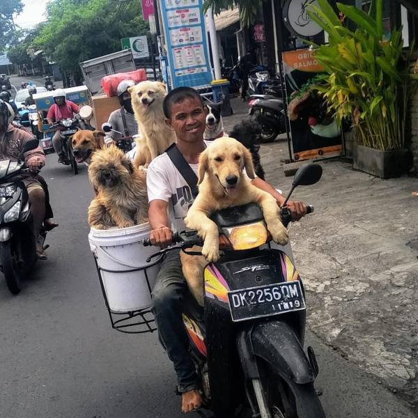 Acid Picdump. Part 1 (95 pics)