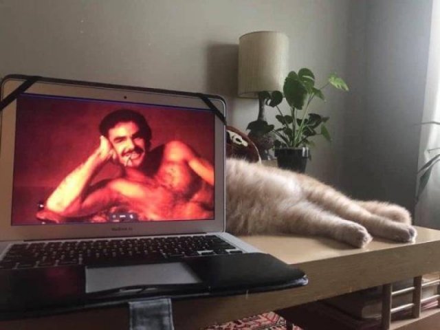 Acid Picdump. Part 1 (95 pics)