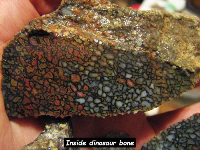 Acid Picdump. Part 1 (95 pics)