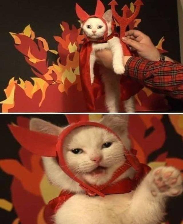 Acid Picdump. Part 1 (95 pics)