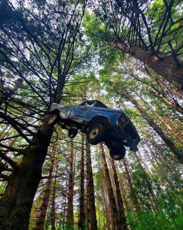 Acid Picdump. Part 1 (95 pics)