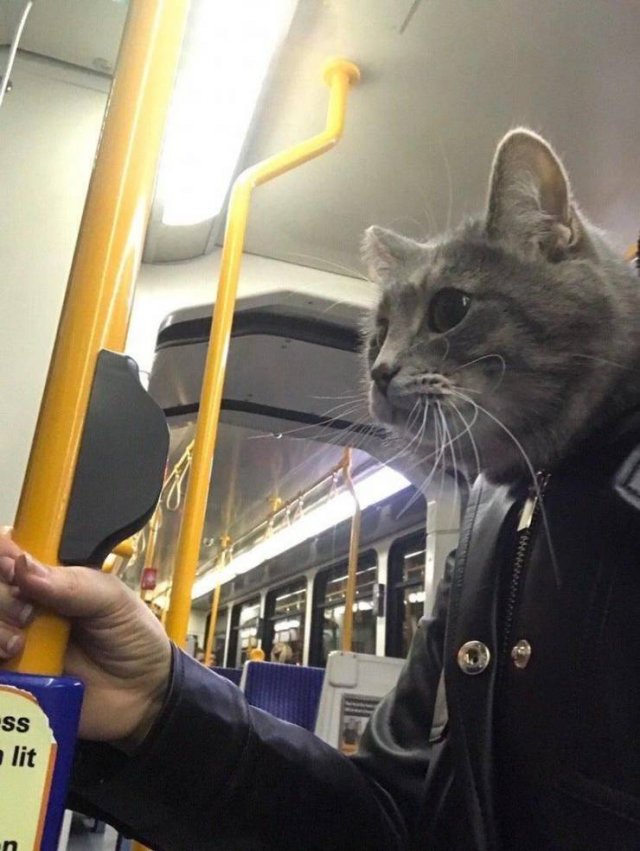 Acid Picdump. Part 1 (95 pics)