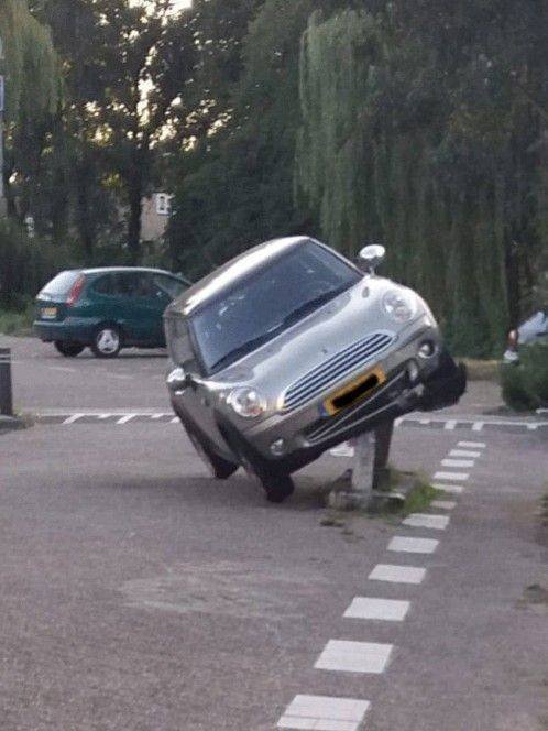 Acid Picdump. Part 1 (95 pics)