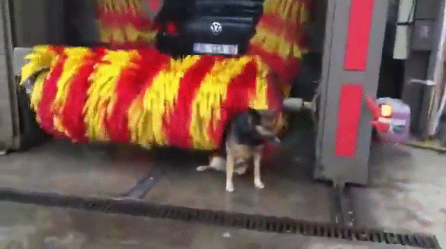 Acid Gifdump, January 20 (25 gifs)