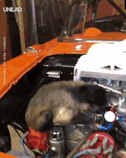 Acid Gifdump, January 20 (25 gifs)