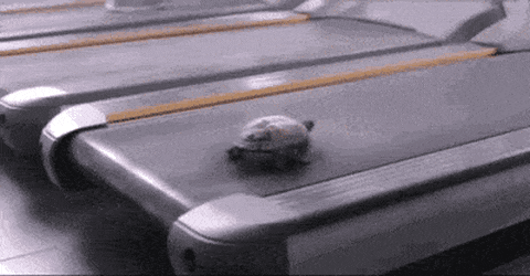 Acid Gifdump, January 20 (25 gifs)