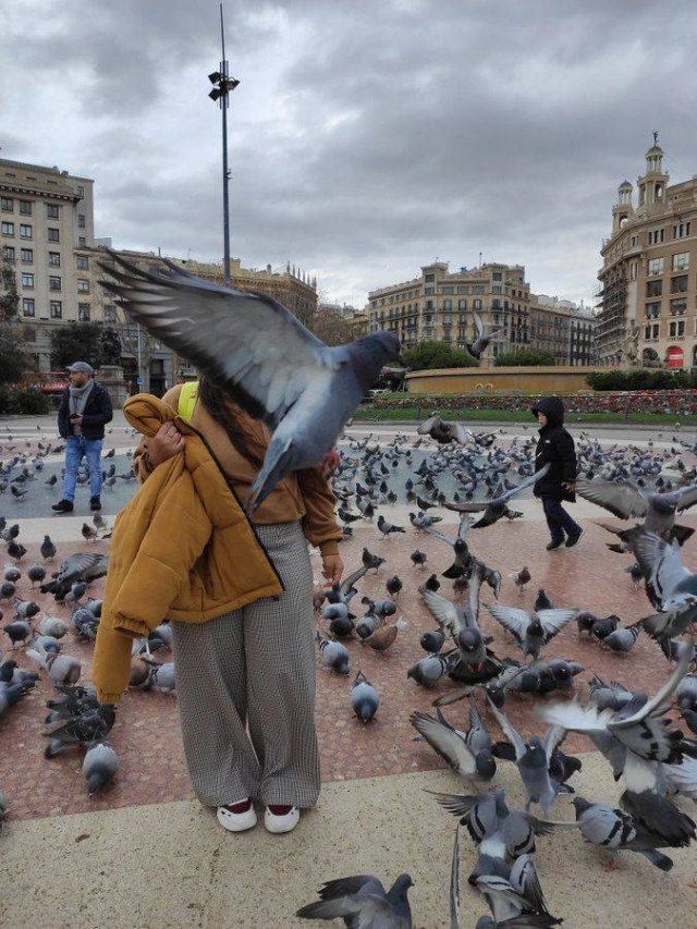 Acid Picdump. Part 1 (94 pics)
