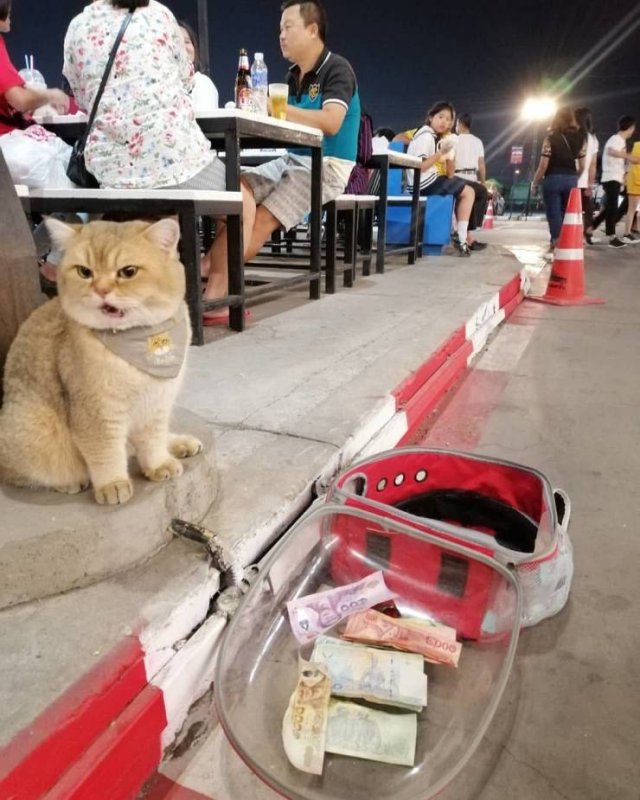 Acid Picdump. Part 1 (94 pics)