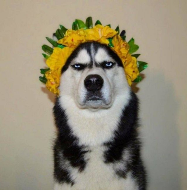 Acid Picdump. Part 1 (94 pics)