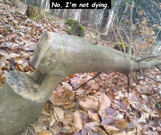 Acid Picdump. Part 1 (94 pics)