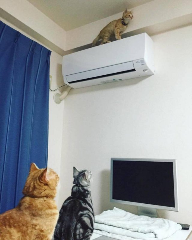Acid Picdump. Part 1 (94 pics)