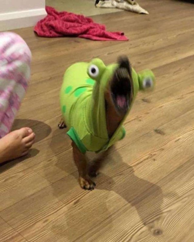 Acid Picdump. Part 1 (94 pics)