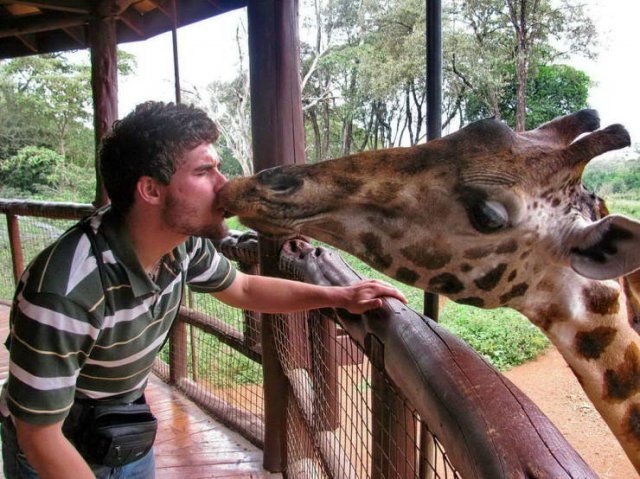 Right Moment (45 pics)