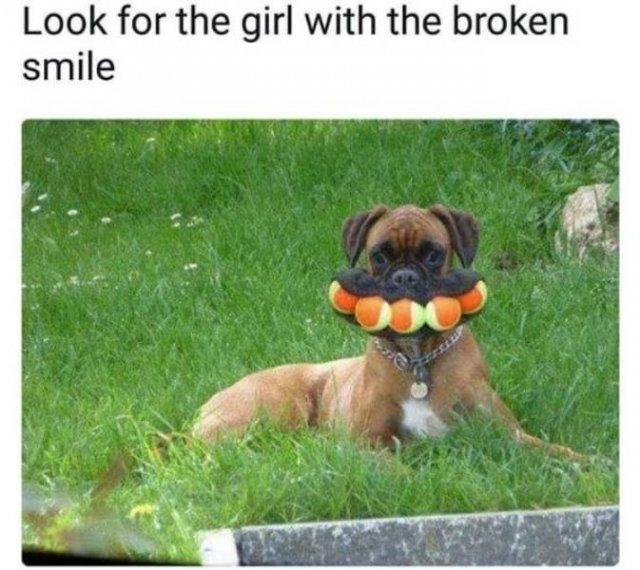 Random Funny Memes (50 pics)