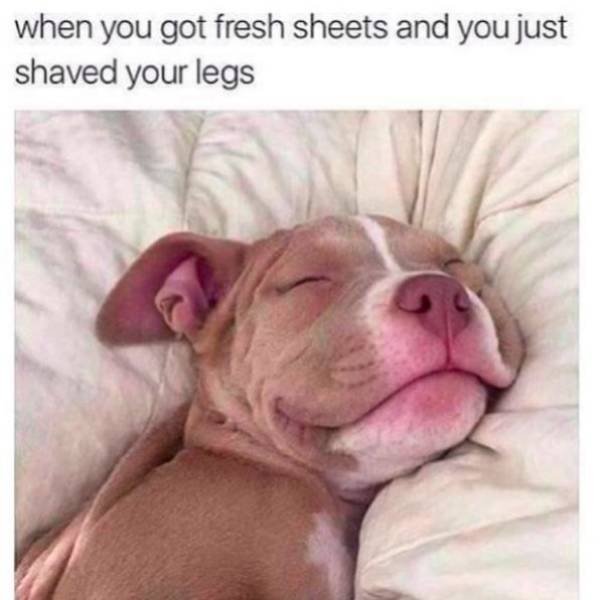 Memes For Women (42 pics)