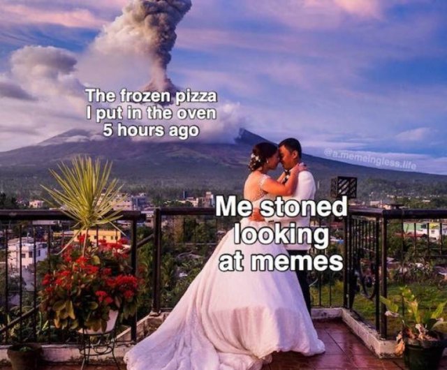 Random Funny Memes (50 pics)